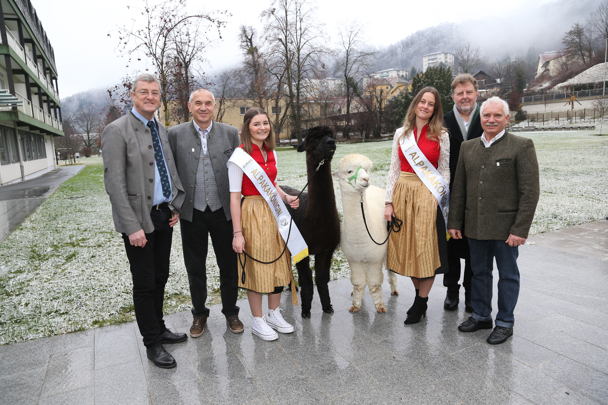 World Alpaca Expo und Conference in Graz Steirischer Bauernbund